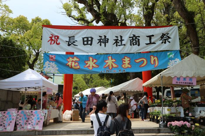 花水木まつりの画像