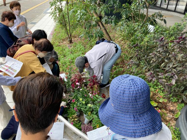 写真：第5回寄せ植え講習会