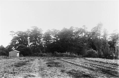 写真：復元前の五色塚古墳