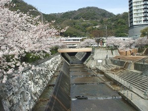 生田川の写真