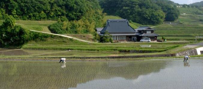 田園