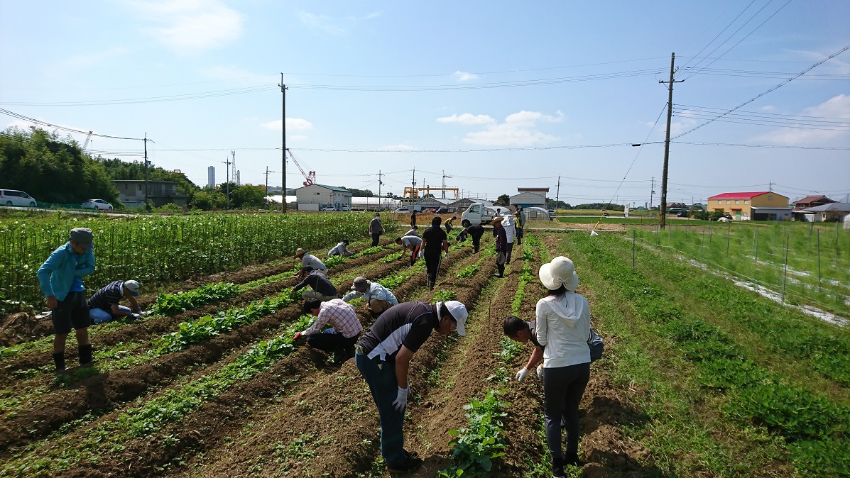 生産緑地