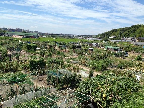 伊川谷駅南農園