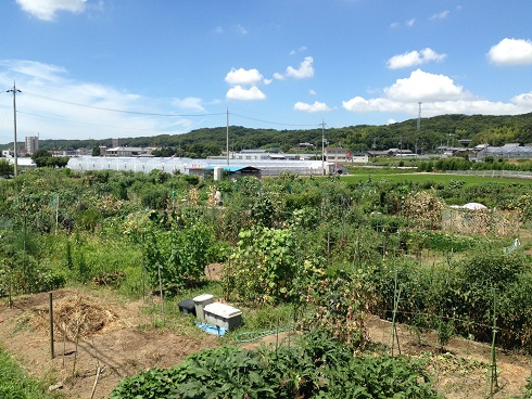 前開森の農園