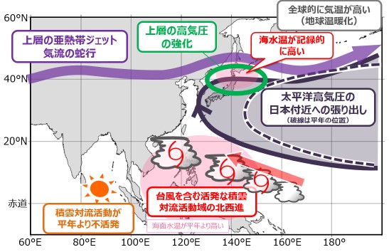 模式図