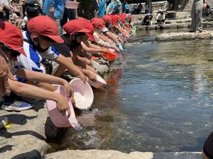 鮎の稚魚を放流する児童たち