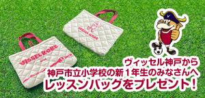 vissel_bag