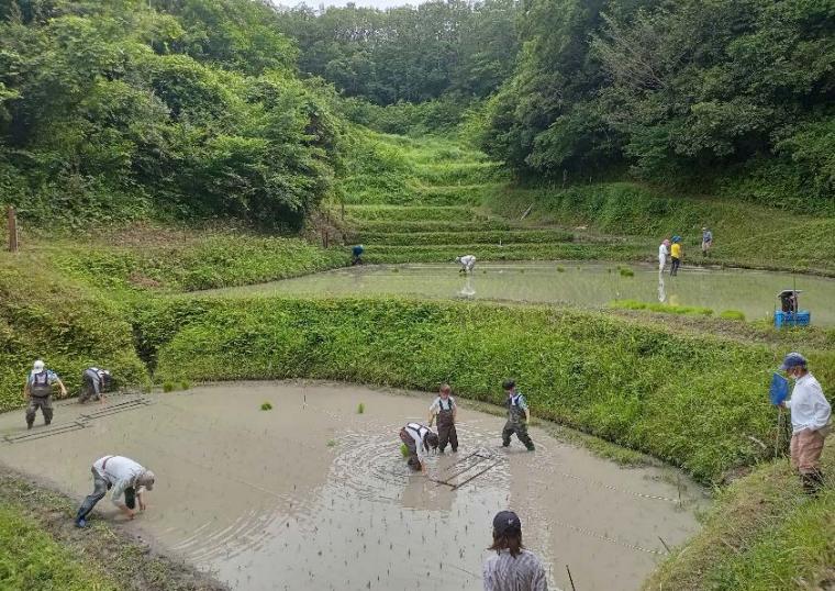 稲作を通じた保全活動